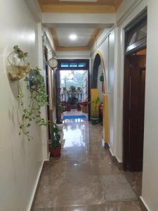 a hallway with potted plants and a clock on the wall at Laligurash in Mirik
