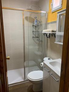 a bathroom with a shower and a toilet and a sink at O recuncho - Alojamiento tranquilo cerca de Ribeira Sacra y Ourense in Maceda