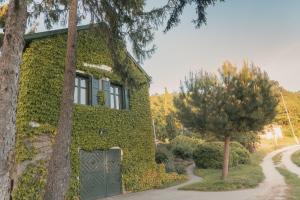 a house covered in ivy with a tree at Villa Rustica Vendégház Sümeg in Sümeg