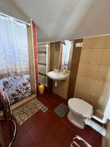 a bathroom with a toilet and a shower and a sink at Adrienn Apartman in Sárvár +36 photos