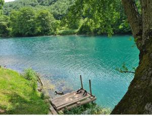 a boat sitting in the middle of a lake at Kamp SAN in Zaglavica