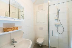 a bathroom with a shower and a sink and a toilet at Appartment am Mondsee in Mondsee