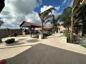 a walkway with palm trees and a building at carmel cabins suite 6 in Yājur