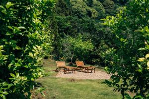 two benches sitting in the middle of a garden at 森の宿 l ACAO FOREST 01 in Atami