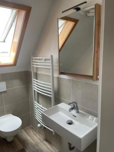 a bathroom with a sink and a toilet and a mirror at Apartment Kuhl in Selb +4 photos