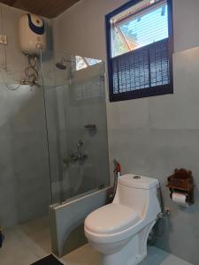 a bathroom with a toilet and a shower and a window at Longchen Homestay in Dimapur