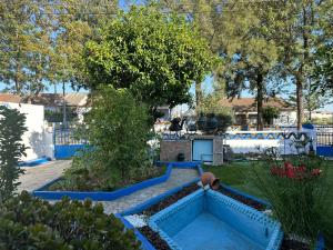 a garden with a blue fountain in a yard at Marujo Home & Heart in Penedo Gordo +8 photos
