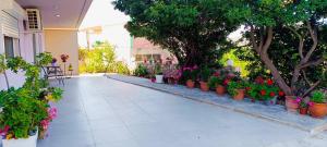 a bunch of flowers in pots on a patio at Sofia's Guest House in Levkákia +1 photo