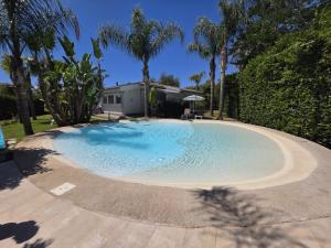 a large swimming pool in a yard with trees at Villa Lucy Eco Friendly in Fontane Bianche