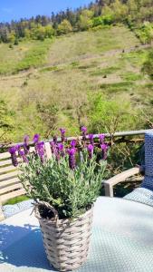 a basket of purple flowers sitting on a table at Bergblick2 in Zell an der Mosel