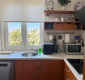 a kitchen counter with a sink and two windows at A&M Cavtat, sunset 3 bedrooms apartment with parking in Cavtat