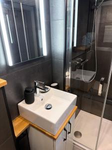 a bathroom with a white sink and a shower at Tiny House Hameln in Salzhemmendorf
