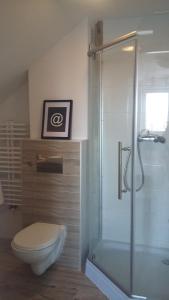 a bathroom with a toilet and a glass shower at Widokówka in Tarnobrzeg +11 photos