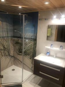 a bathroom with a glass shower and a sink at Fewo TG in Schliersee