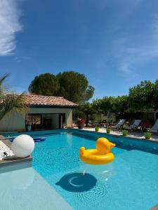 a swimming pool with a rubber duck in the water at Chic and Chill Guest House, gite Safari in Vallon-Pont-dʼArc