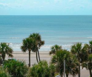 a view of a beach with palm trees and the ocean at Hyatt Select Galveston Beachfront in Galveston