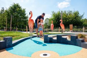 a man and a child standing in front of flamingos at Summio Parc Aquadelta in Bruinisse