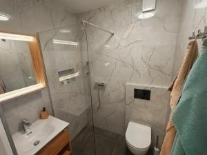 a bathroom with a shower and a toilet and a sink at Apartma Alpine Gateway in Komenda