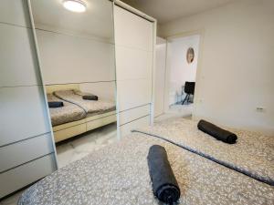 a bedroom with two beds and a mirror at Apartma Alpine Gateway in Komenda