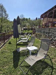a row of chairs and an umbrella on the grass at Cabana Magdalena in Câmpulung