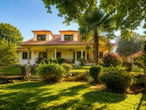 a house with a palm tree in the yard at Holibai As Landras Piscina y vistas al Miño, Tomiño in Tomiño