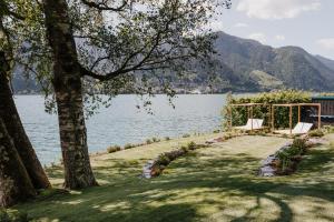 Blick auf einen See mit einem Baum in der Unterkunft Familotel Amiamo in Zell am See