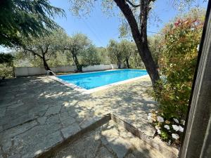 a swimming pool in a yard with a tree at Ulivo Liguria With pool in Gazzelli