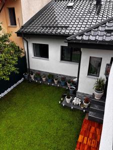 a small yard with potted plants in front of a house at Sofia's home in Piatra Neamţ