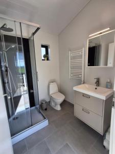 a bathroom with a shower and a toilet and a sink at Hólmahjáleiga Guesthouse in Hvolsvöllur