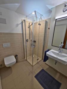 ein Badezimmer mit Dusche, Toilette und Waschbecken in der Unterkunft Hotel im Sud in Eggenfelden + 4 Fotos