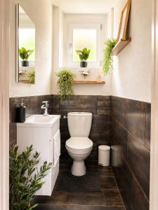 a bathroom with a toilet and a sink and two windows at Appart Vosges in Fresse-sur-Moselle +8 photos