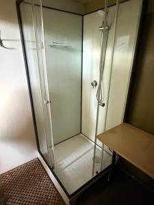a shower with a glass door in a bathroom at Camping Dorfer in Spielberg