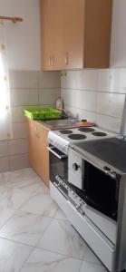 a kitchen with a stove and a green tray on the counter at Sušica Apartman in Kovačka Dolina
