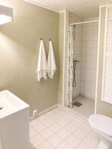 a bathroom with a shower and a toilet and towels at Jåsund SunView in Lyngdal +6 photos