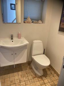 a bathroom with a white toilet and a sink at Main House - Rolsø Retreat in Knebel +30 photos