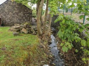 a stream in front of a stone building with a tree at Brook Cottage in Coleraine