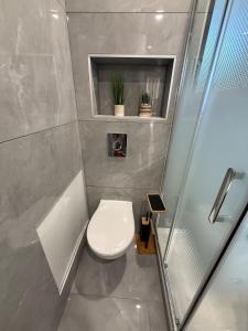 a small bathroom with a toilet and a shower at Cocon de Montluçon in Montluçon