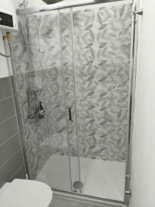 a shower stall in a bathroom with a toilet at Affittacamere Domus Roseto in Roseto Capo Spulico