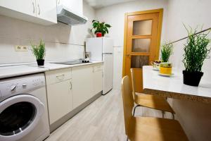 Kuchyňa alebo kuchynka v ubytovaní Apartamentos Albero