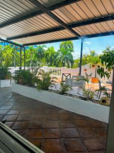 a view of a patio with chairs and palm trees at MOKA HOUSE in Santo Domingo