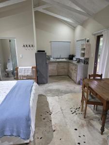 a kitchen with a bed and a table in a room at Haines Haven in Albinia