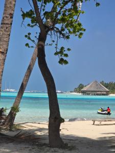 two palm trees on a beach with a boat in the water at Dhiffushi Reef & Beach in Dhiffushi