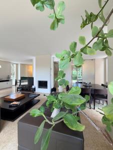 a living room with a couch with a plant at Villa Celeste -Flexrent Immobiliare Abissinia in Santa Maria di Scacciano