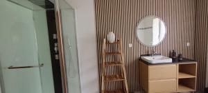 a bathroom with a sink and a mirror at Berges de la Suippe in Warmeriville