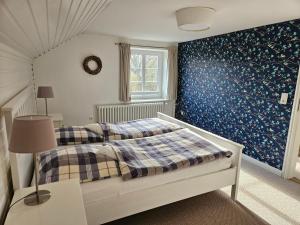 a bedroom with a bed and a blue wall at Hof Muhs in Stakendorf