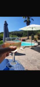 a hand holding a glass of wine in front of a pool at Atelier Suvereto in Suvereto
