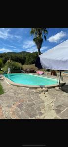 a large blue swimming pool with a white umbrella at Atelier Suvereto in Suvereto