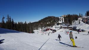 Galeriebild der Unterkunft Jahorina Apartment 226 in Aparthotel Vucko in Jahorina