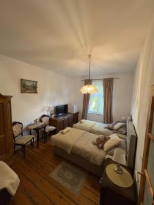 a bedroom with a bed and a desk and a window at Agroturystyka Hotel Noclegi Pałac Camping in Wałcz