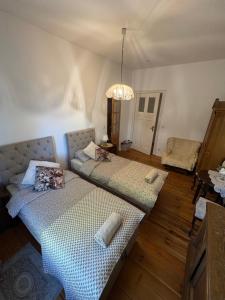 a living room with two beds and a chandelier at Agroturystyka Hotel Noclegi Pałac Camping in Wałcz